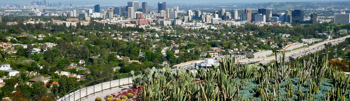 Urban forests in the fight against climate change – what we know, we share with you.  